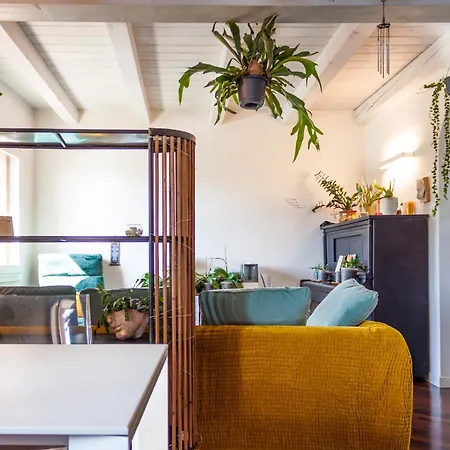 Apartman Piccionaia Contemporanea
